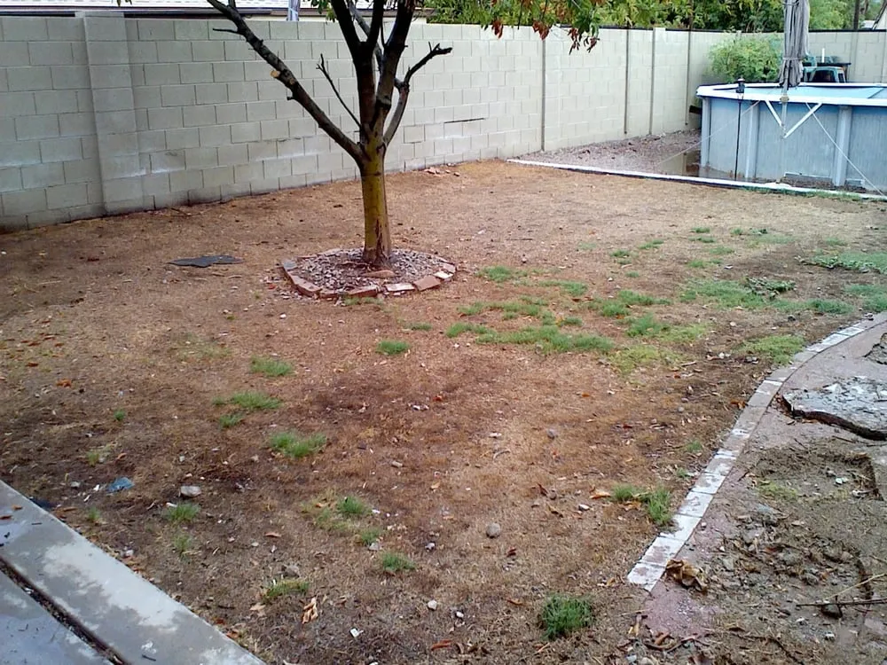 Local residential landscaping experts serving San Tan Valley, AZ - AZ Custom Concrete & Landscape