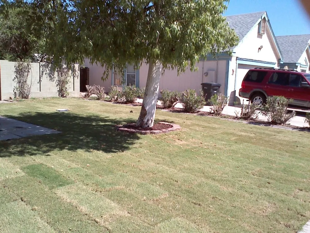 Affordable outdoor landscaping experts serving San Tan Valley, AZ - AZ Custom Concrete & Landscape
