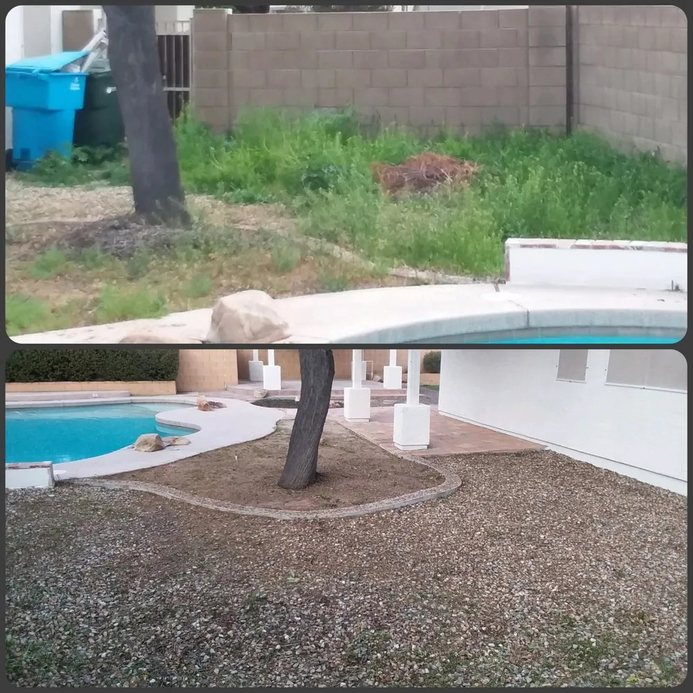 Affordable landscaping services near you in Phoenix, AZ by AZ Desert Irrigation & Maintenance Services