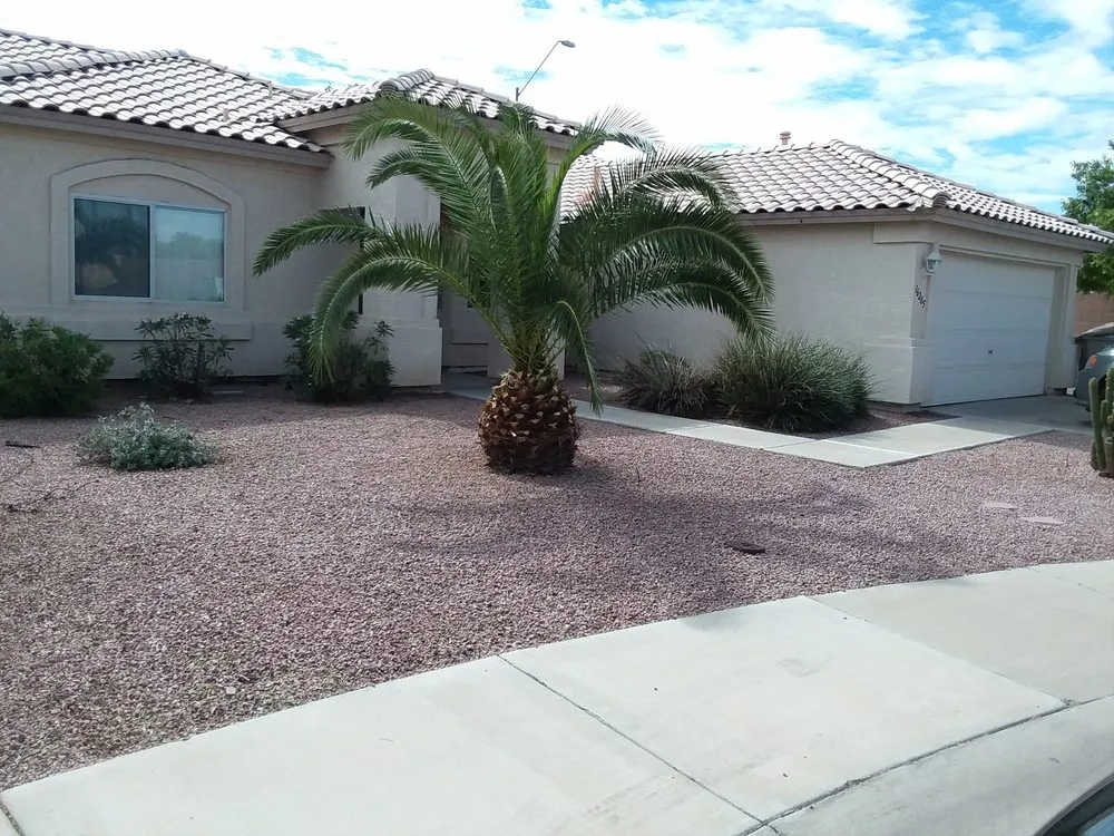 Custom yard maintenance in Phoenix, AZ by AZ Desert Irrigation & Maintenance Services