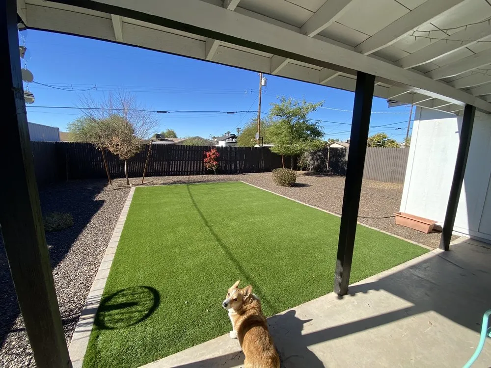 Top-rated yard maintenance in Phoenix, AZ by AZ Desert Irrigation & Maintenance Services