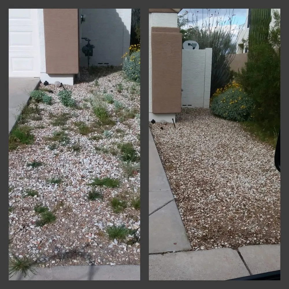 Professional landscape design in Phoenix, AZ by AZ Desert Irrigation & Maintenance Services
