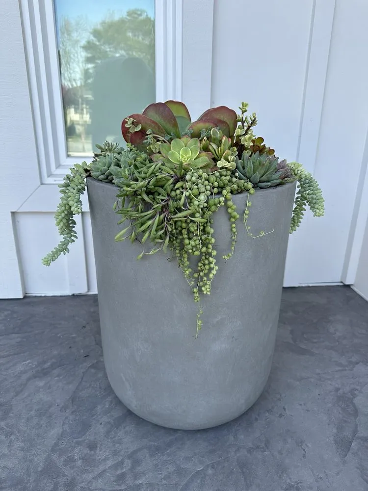 Trusted lawn mowing service for homes in San Jose, CA by AZ Designsz Landscape and Garden Design