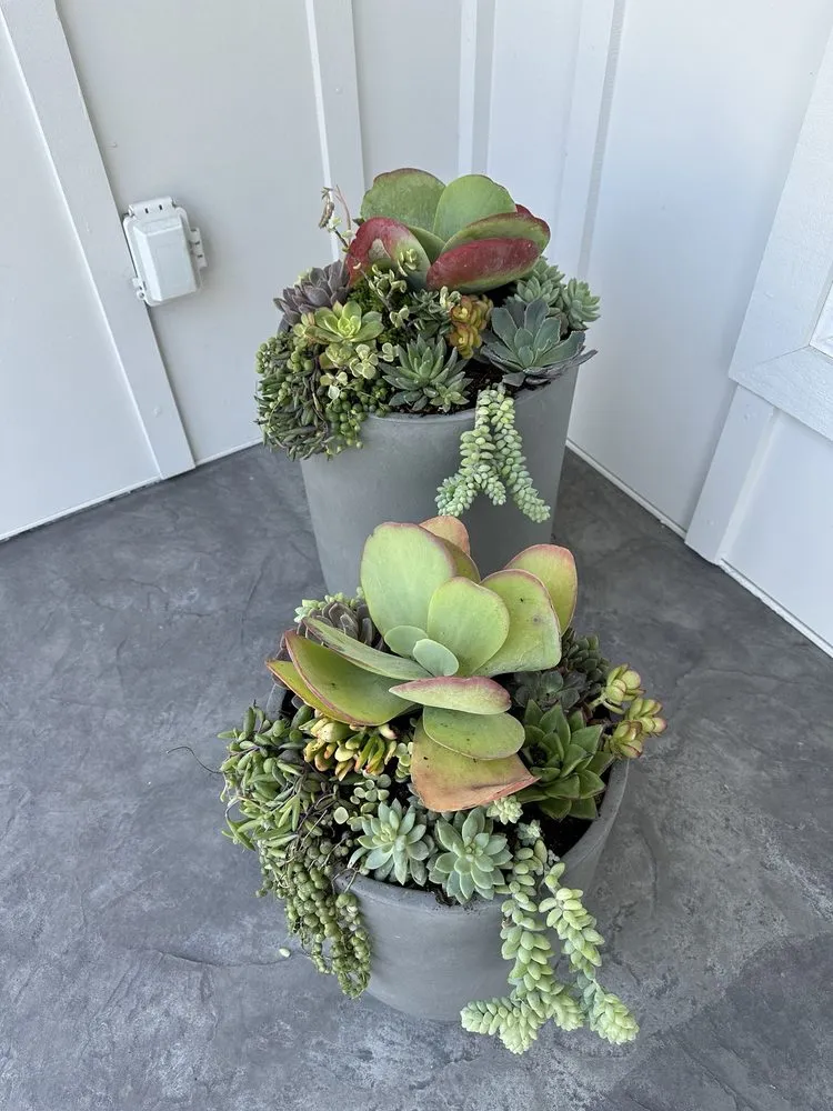 Custom yard cleanup service in San Jose, CA by AZ Designsz Landscape and Garden Design