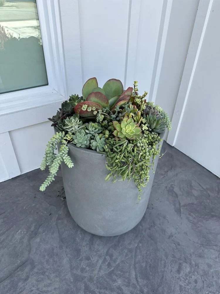 Custom landscape design in San Jose, CA - AZ Designsz Landscape and Garden Design