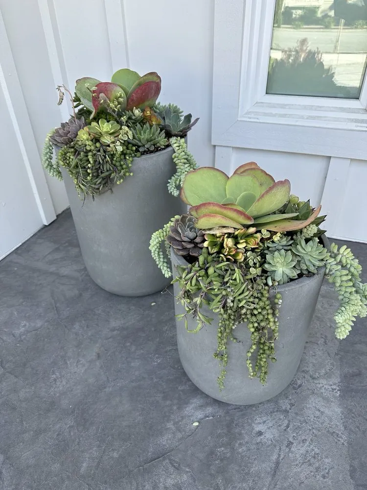 Top-rated garden landscaping in San Jose, CA by AZ Designsz Landscape and Garden Design