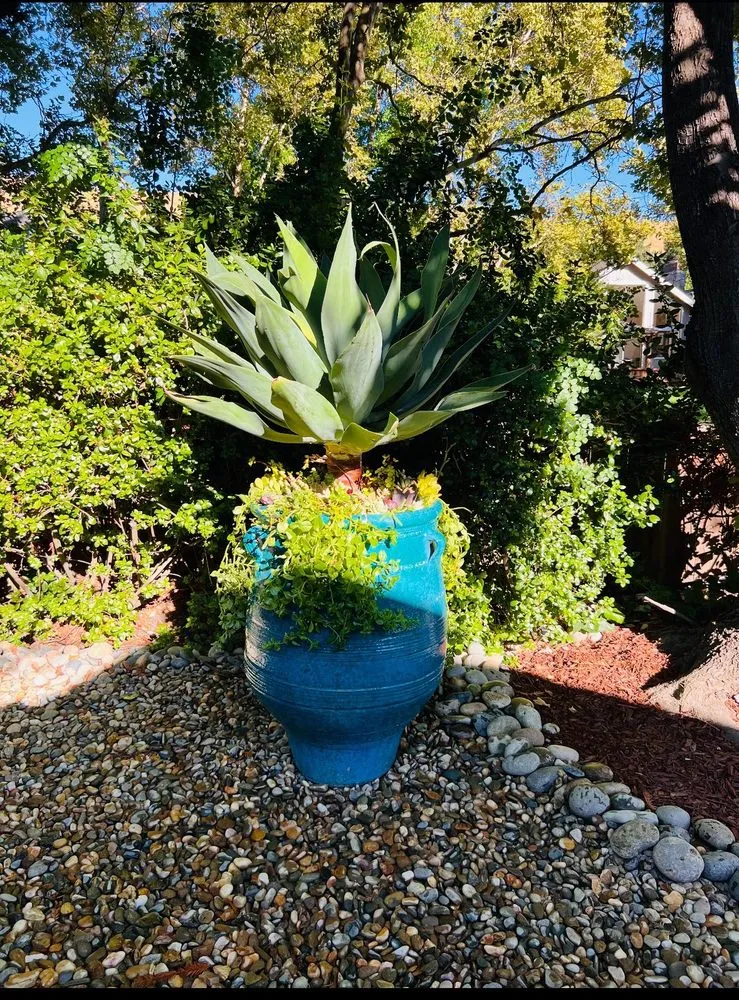 Expert lawn mowing service in San Jose, CA by AZ Designsz Landscape and Garden Design