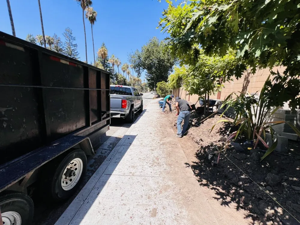 Affordable landscape installation for year-round maintenance in San Jose, CA by AZ Designsz Landscape and Garden Design