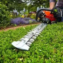 Reliable yard cleanup service for residential properties in Prescott Valley, AZ by AZ Earthscaping