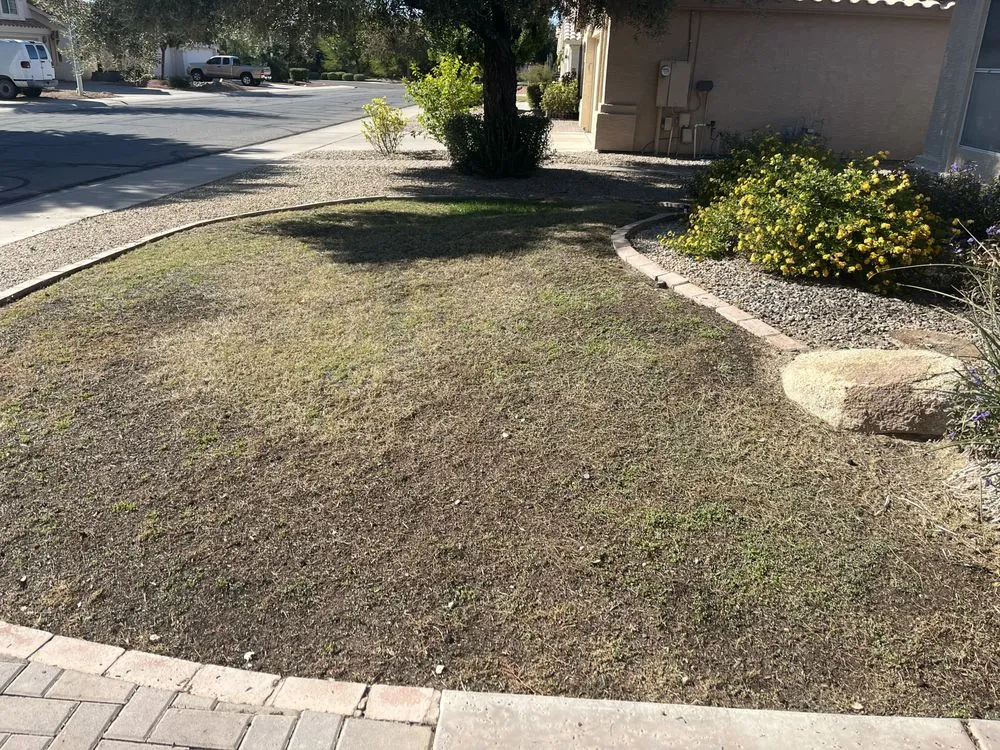 Affordable residential landscaping with custom design in Tempe, AZ by Az Edge Landscaping