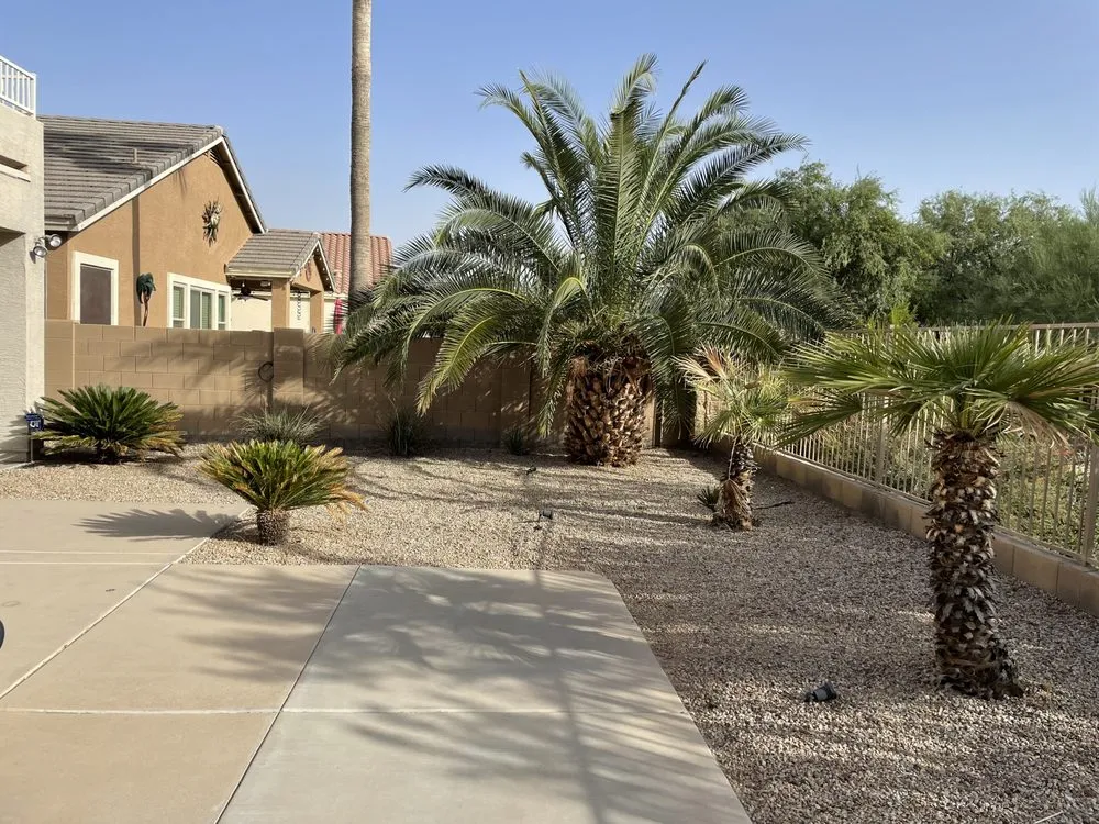 Professional landscape installation in Phoenix, AZ by Az Elite Landscaping and maintenance