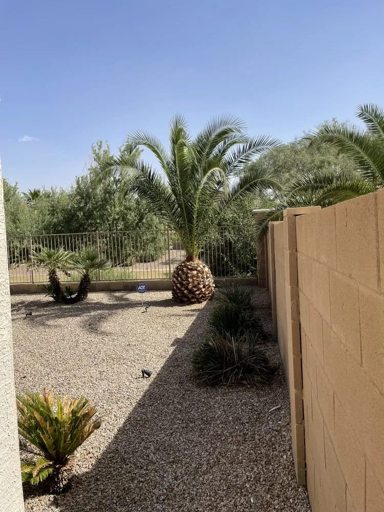 Expert yard maintenance near you in Phoenix, AZ by Az Elite Landscaping and maintenance