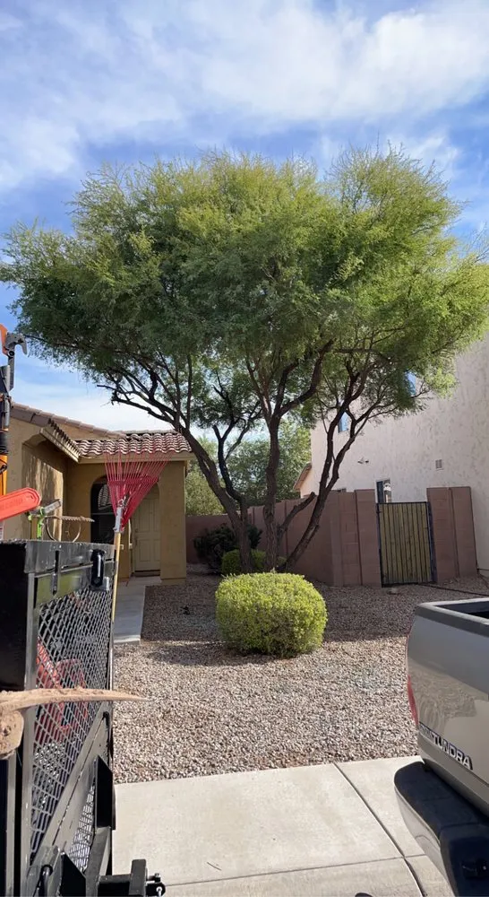 Custom outdoor landscaping in Phoenix, AZ - Az Elite Landscaping and maintenance