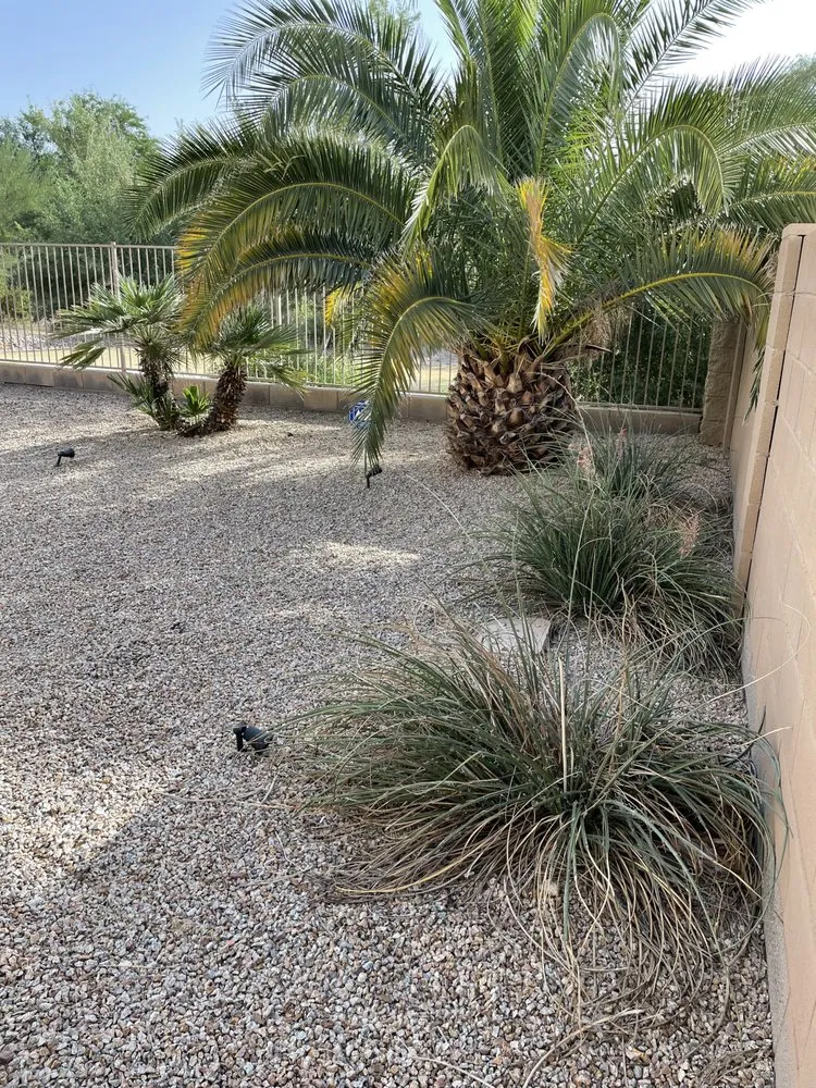 Trusted garden landscaping in Phoenix, AZ by Az Elite Landscaping and maintenance