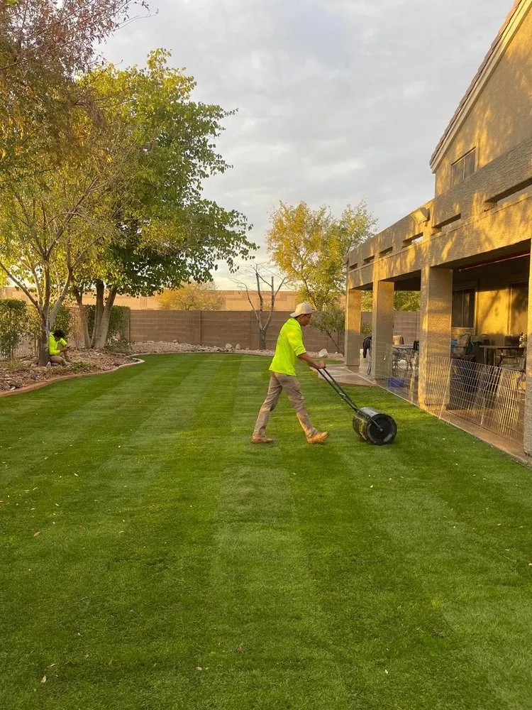 Professional outdoor landscaping in Glendale, AZ - AZ Empire Landscaping