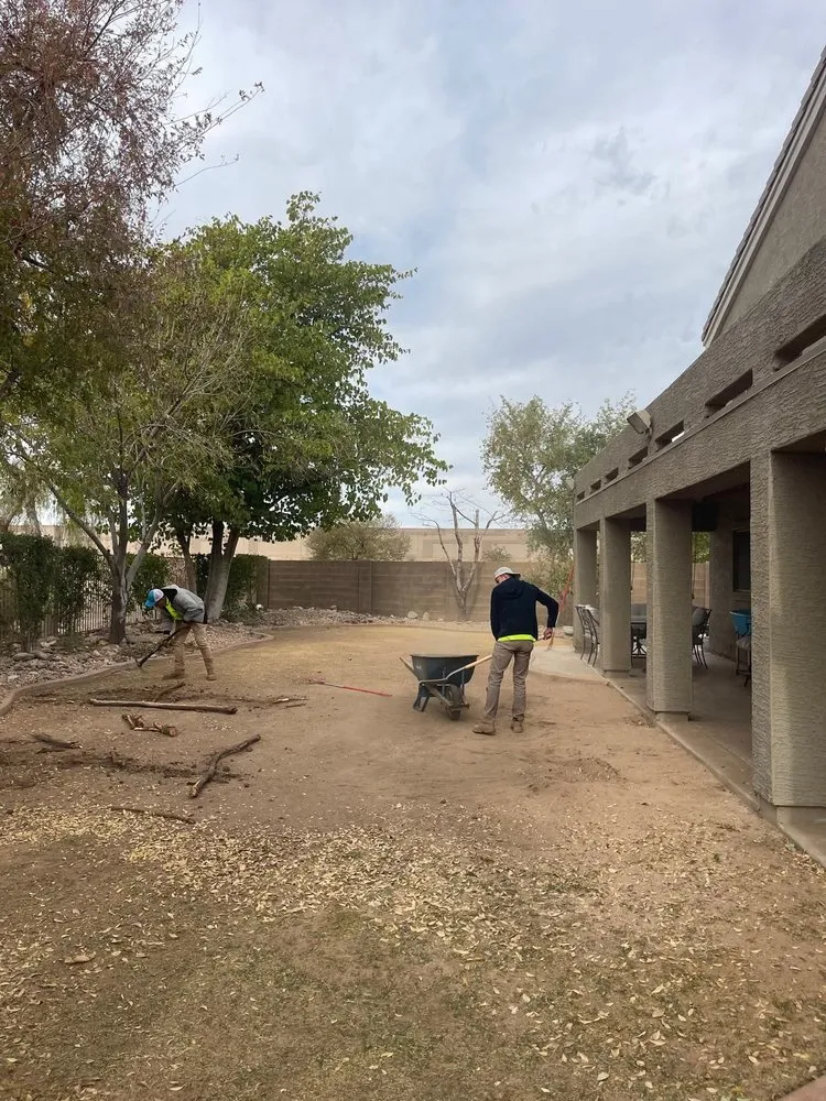Affordable yard cleanup service in Glendale, AZ by AZ Empire Landscaping