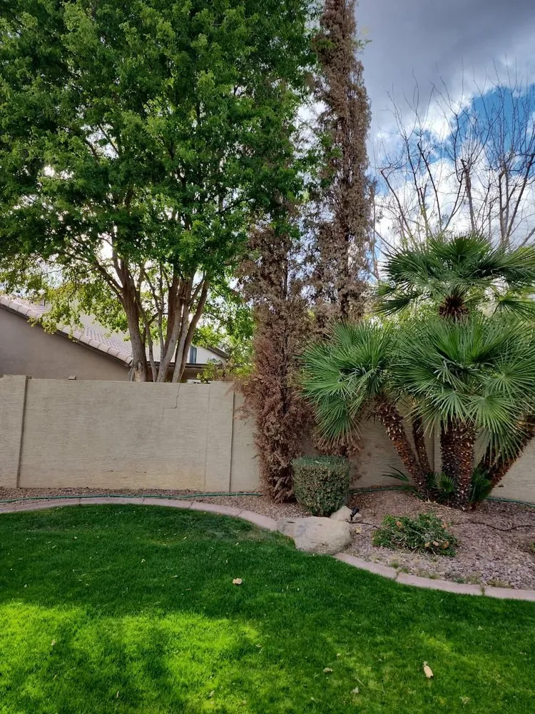 Professional residential landscaping experts serving Glendale, AZ - AZ Empire Landscaping