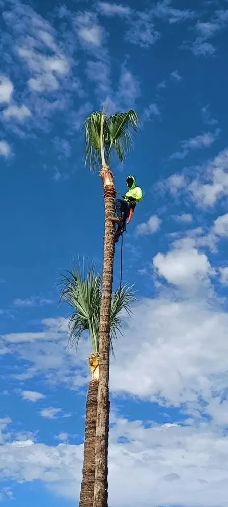 Expert residential landscaping for residential properties in Glendale, AZ by AZ Empire Landscaping