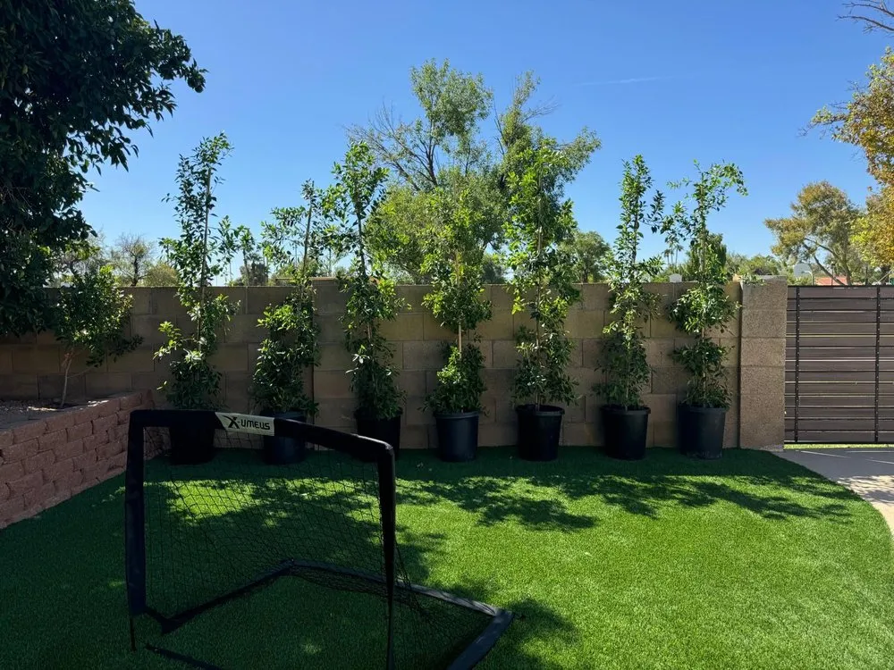 Trusted residential landscaping for year-round maintenance in Glendale, AZ by AZ Empire Landscaping