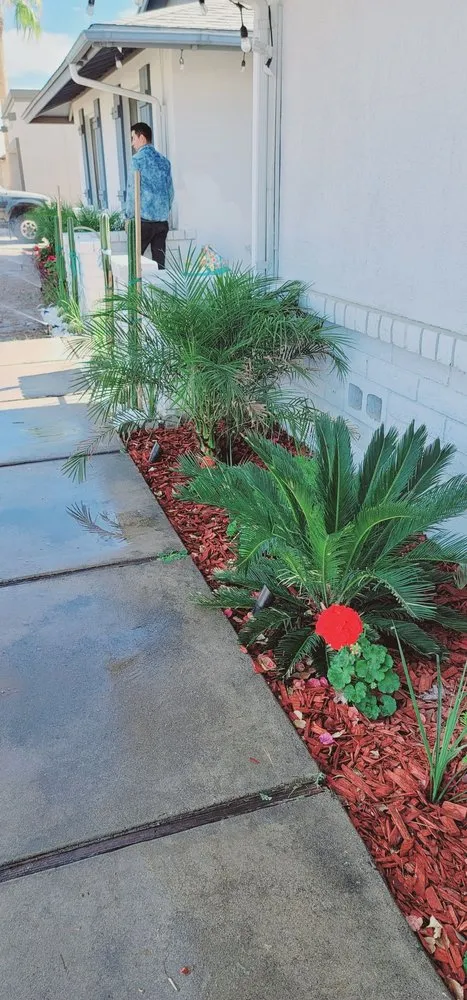 Local lawn mowing service experts serving Glendale, AZ - AZ Empire Landscaping