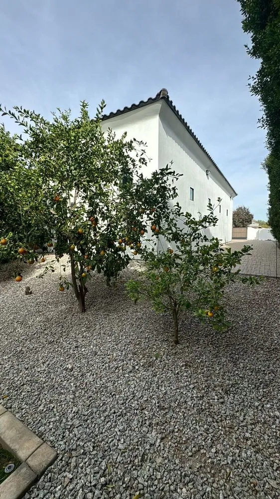 Local yard cleanup service in Glendale, AZ by AZ Empire Landscaping