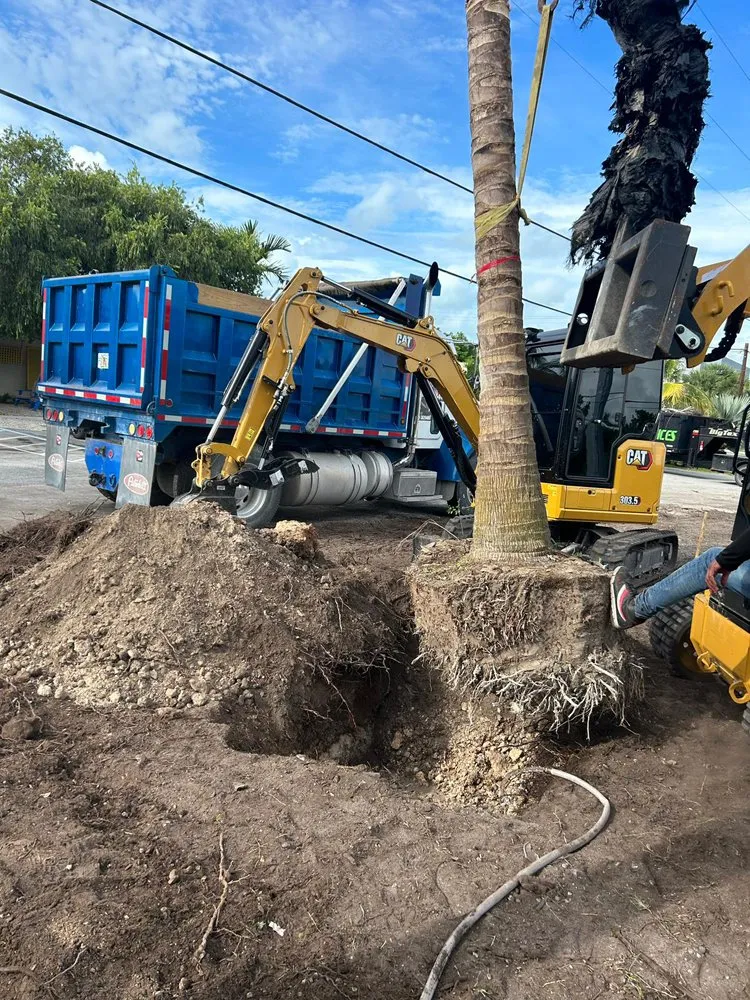 Trusted landscaping services in Richmond West, FL - AZ Equipment And Trucks