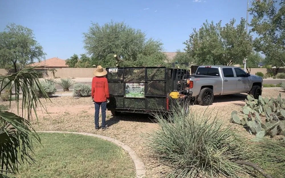Trusted residential landscaping in Avondale, AZ - AZ General Landscaping
