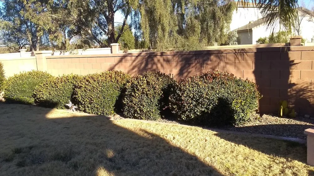Affordable residential landscaping near you across Tucson, AZ - Az Grand Canyon Landscaping