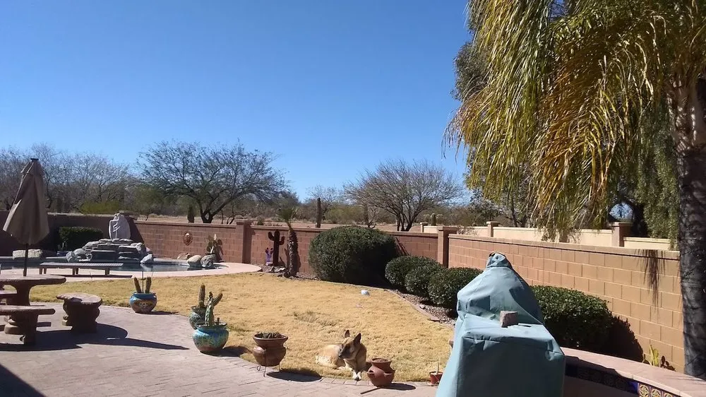 Professional outdoor landscaping experts serving Tucson, AZ - Az Grand Canyon Landscaping