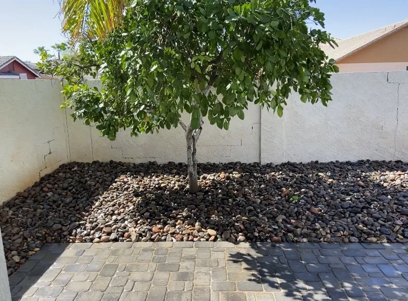 Reliable landscaping services experts serving Mesa, AZ - Az GreenView Landscape & Design