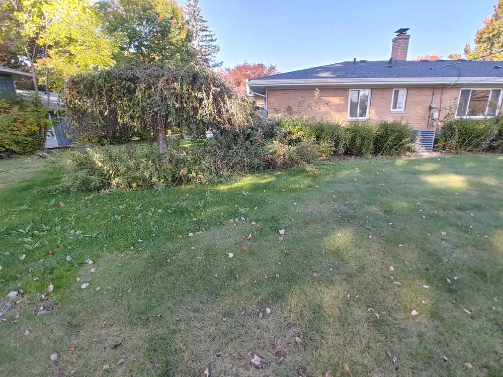 Reliable outdoor landscaping for beautiful yards in Cleveland, OH by AZ Landscape & Design