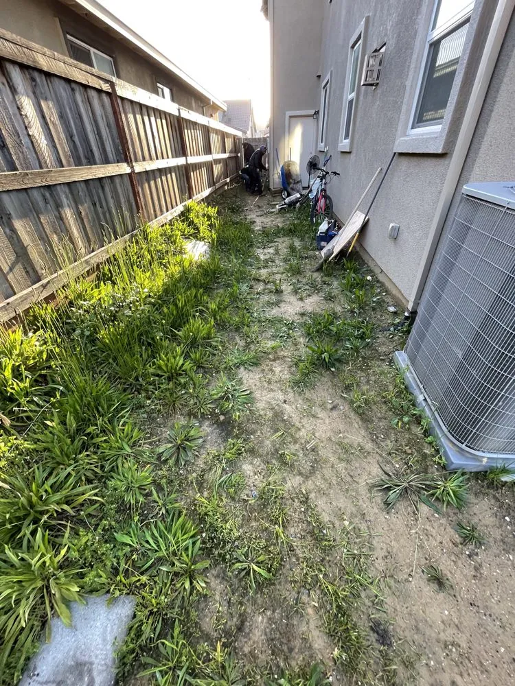 Reliable lawn care service with custom design in Fairfield, CA by AZ Landscape