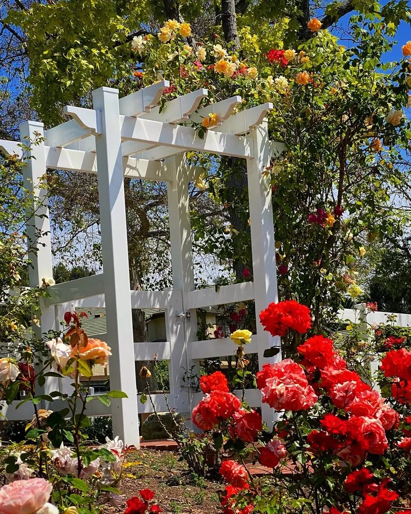 Affordable landscape installation in Fillmore, CA by AZ Landscape