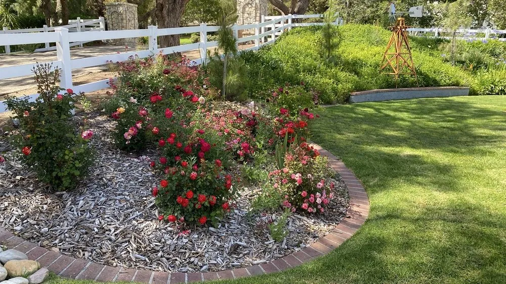 Trusted yard cleanup service in Fillmore, CA - AZ Landscape