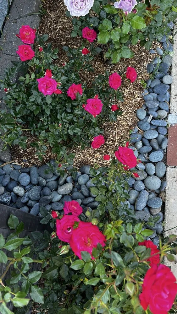 Top-rated landscape installation in Fillmore, CA by AZ Landscape