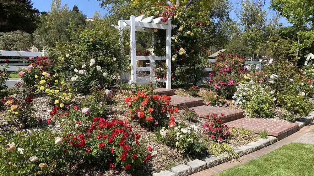 Top-rated yard maintenance for beautiful yards in Fillmore, CA by AZ Landscape