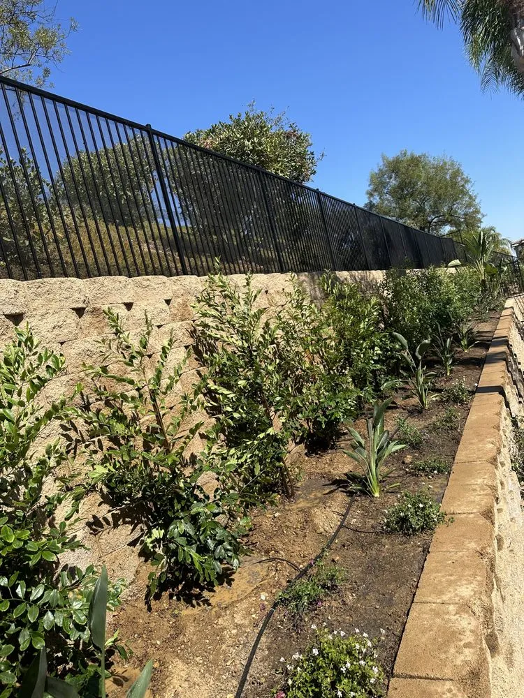 Top-rated landscape design in Fillmore, CA by AZ Landscape