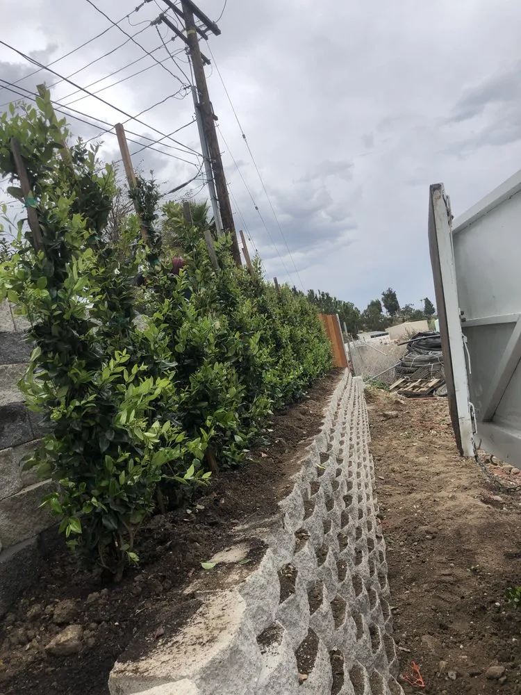 Custom lawn mowing service for outdoor upgrades across Fillmore, CA - AZ Landscape