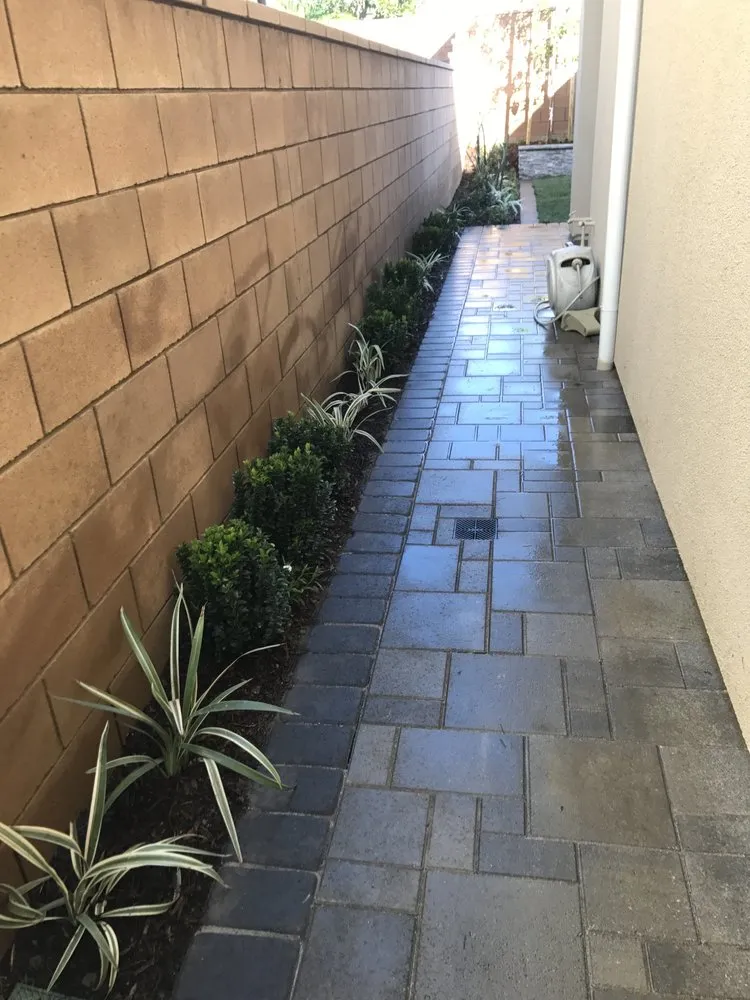 Top-rated lawn care service in Fillmore, CA by AZ Landscape