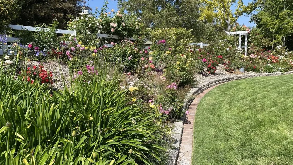 Trusted landscape design with custom design in Fillmore, CA by AZ Landscape