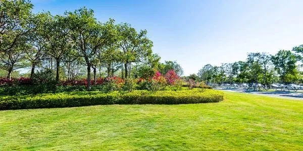 Top-rated outdoor landscaping in San Tan Valley, AZ by AZ Landscape Mngmnt