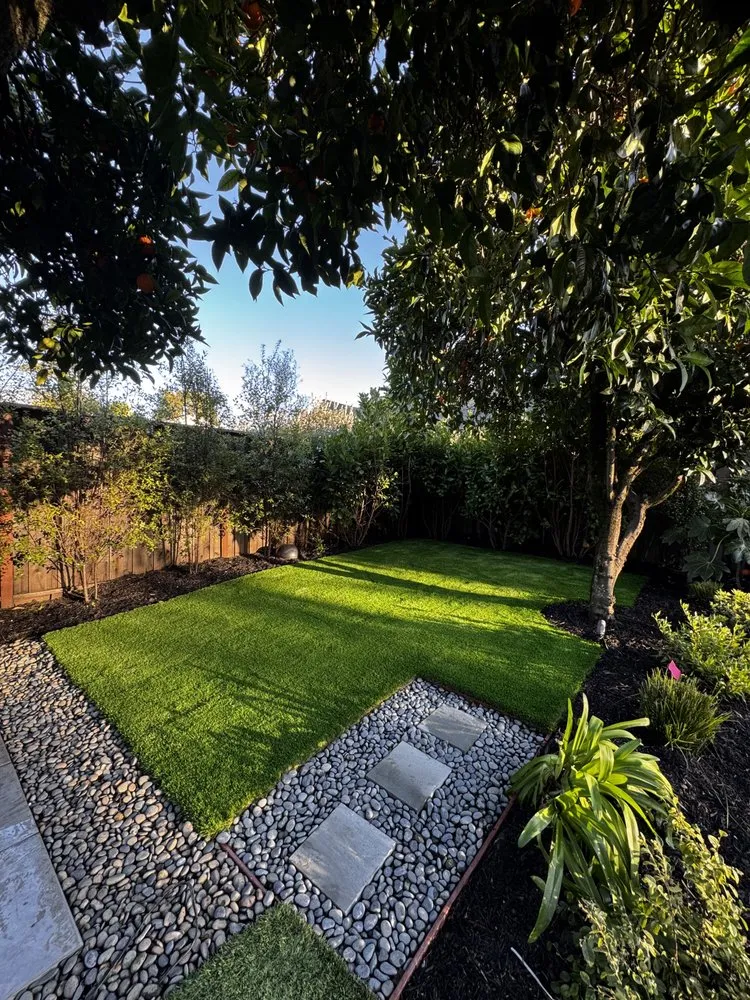 Reliable yard cleanup service experts serving San Tan Valley, AZ - AZ Landscape Mngmnt