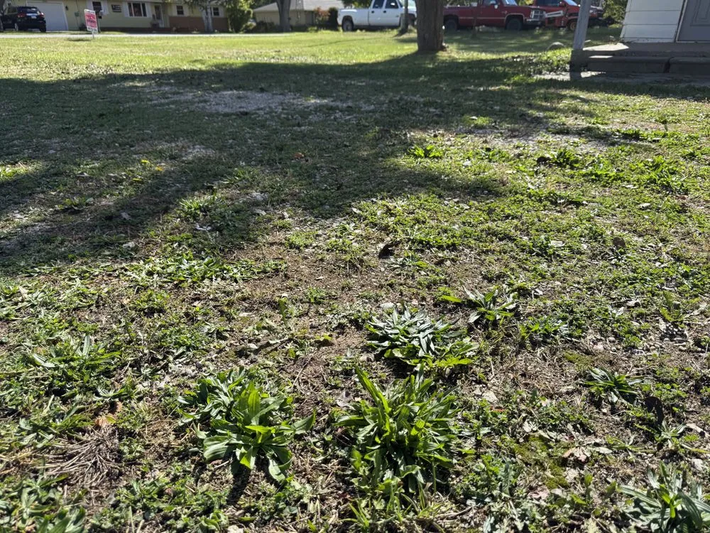 Top-rated residential landscaping experts serving Flint, MI - Az Landscaping