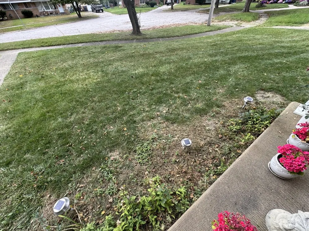 Reliable lawn care service experts serving Flint, MI - Az Landscaping