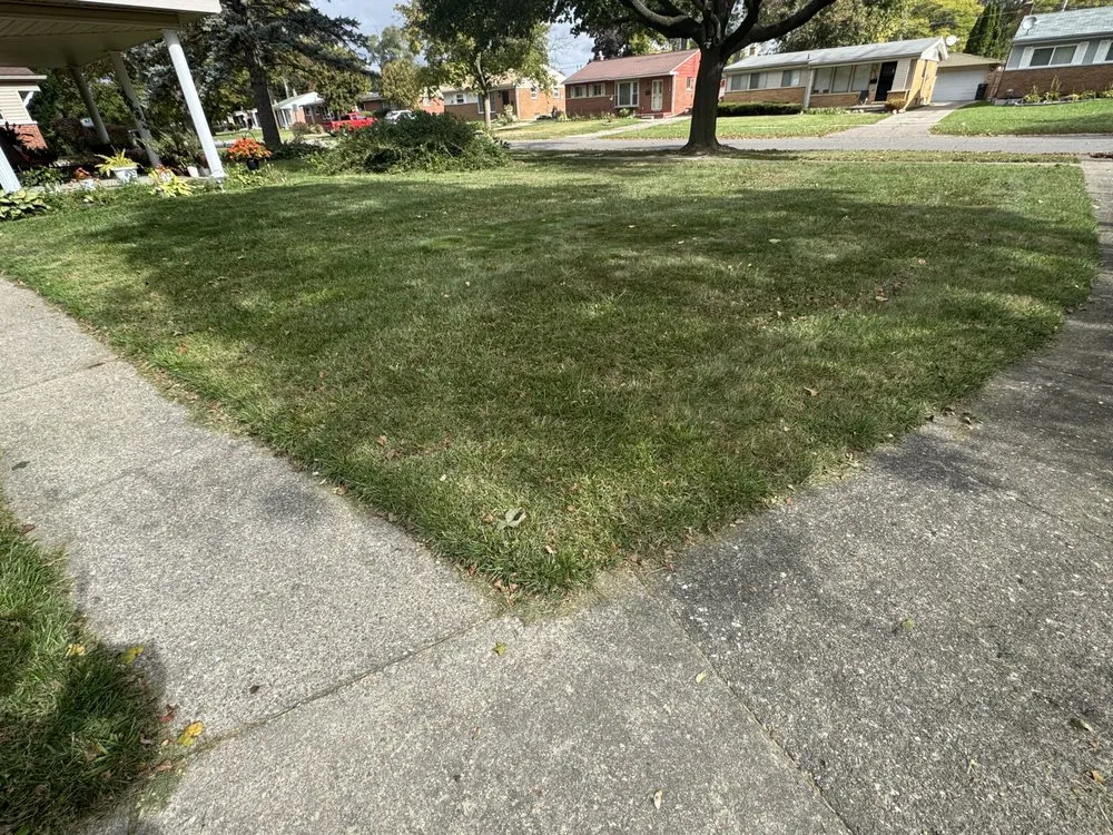 Trusted landscape installation in Flint, MI by Az Landscaping