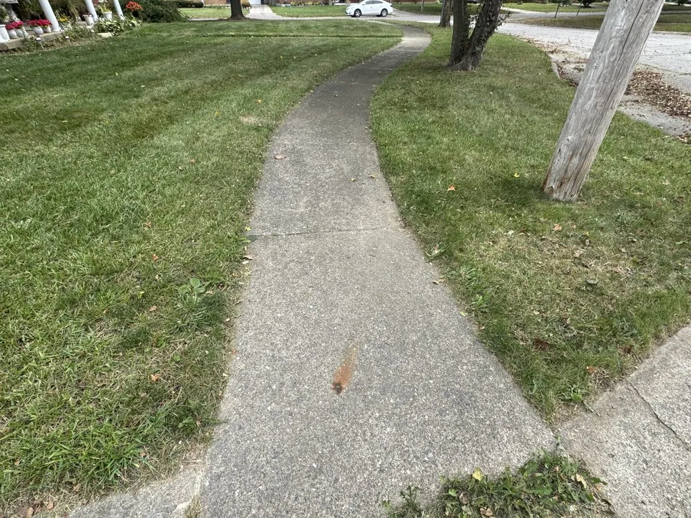 Professional yard cleanup service in Flint, MI - Az Landscaping