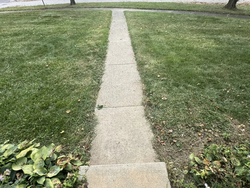 Trusted landscaping services experts serving Flint, MI - Az Landscaping