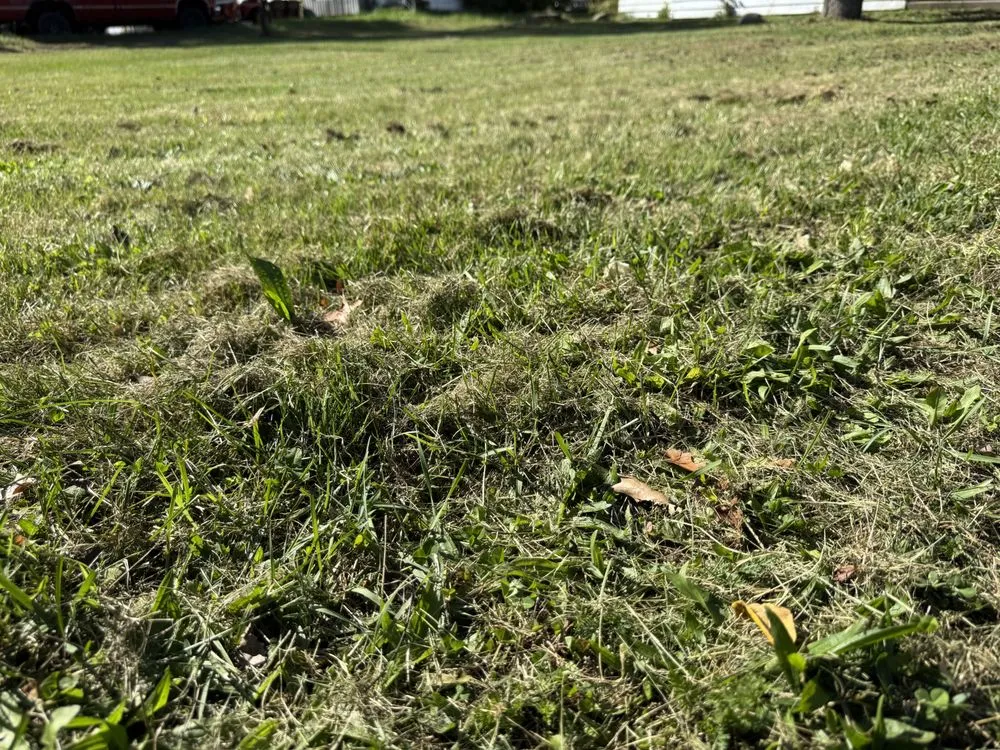 Affordable landscape design in Flint, MI - Az Landscaping