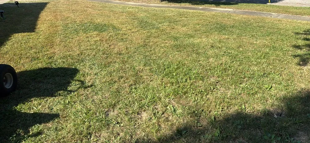 Local landscaping services near you in Flint, MI by Az Landscaping