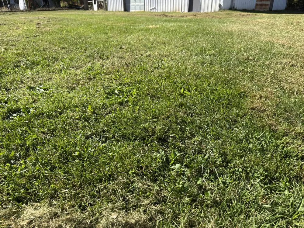 Expert yard maintenance for year-round maintenance across Flint, MI - Az Landscaping